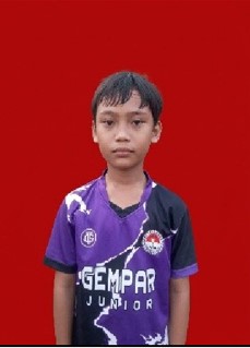 M. Naufal K.
